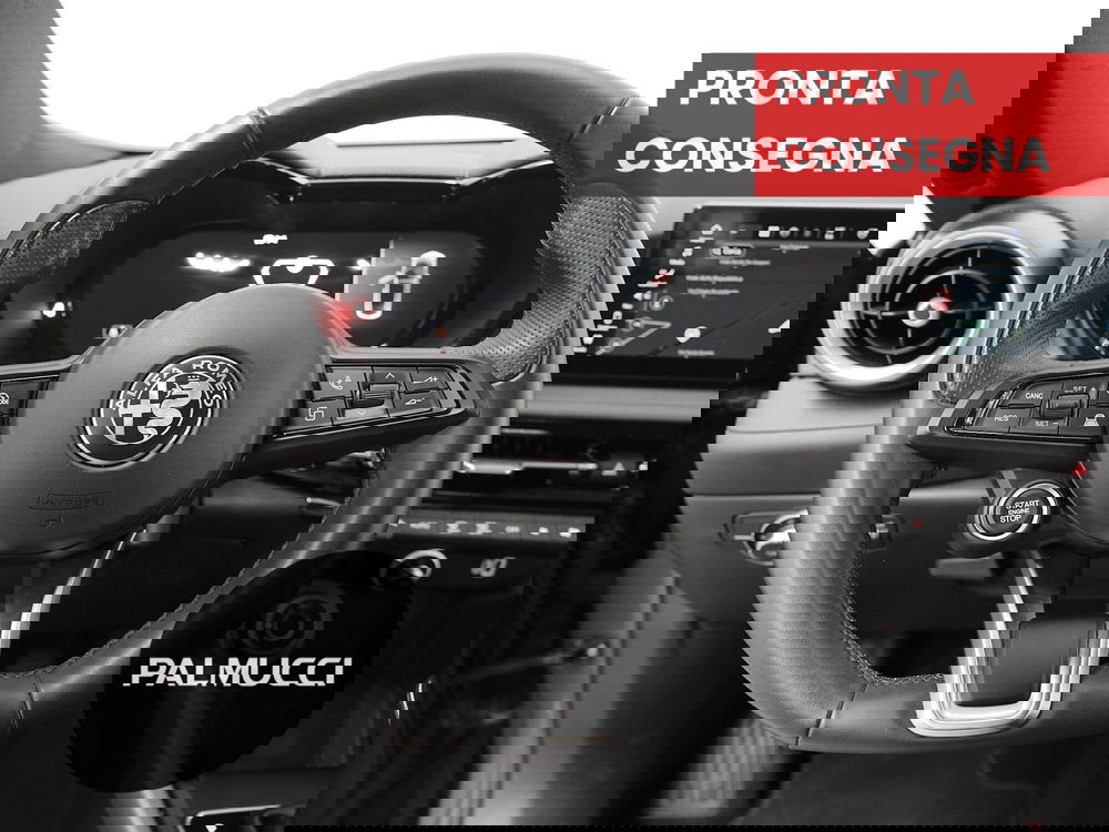 Alfa Romeo Tonale usata a Prato (7)