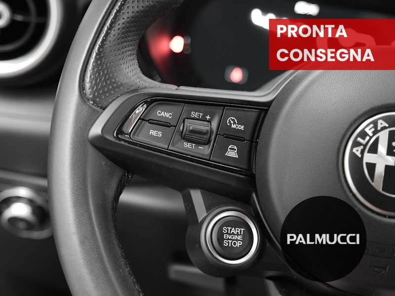 Alfa Romeo Tonale usata a Prato (9)