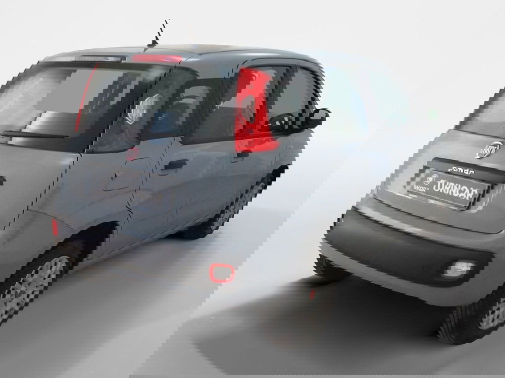 Fiat Panda usata a Torino (6)