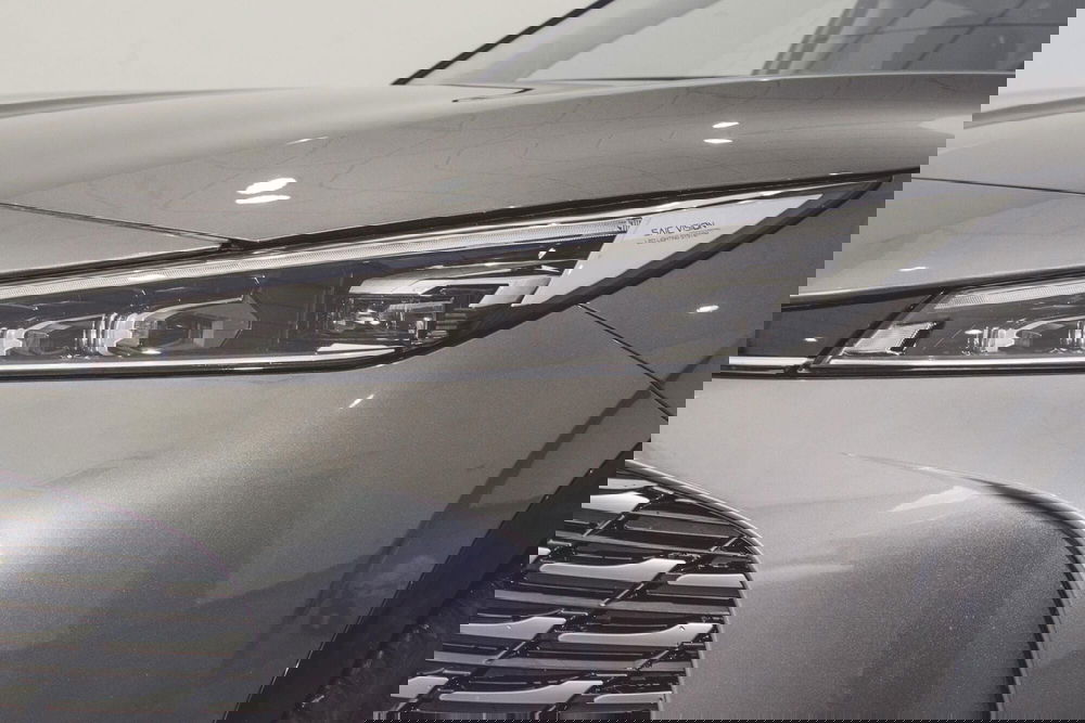 Mg HS usata a Vercelli (13)