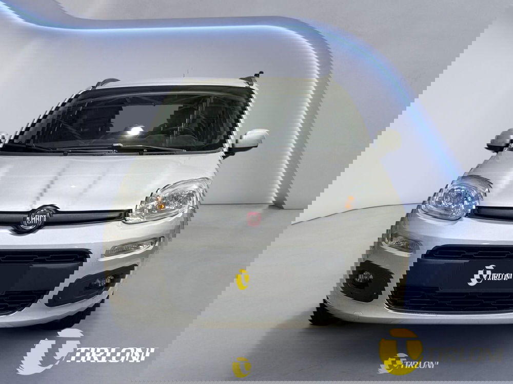 Fiat Panda usata a Milano (6)