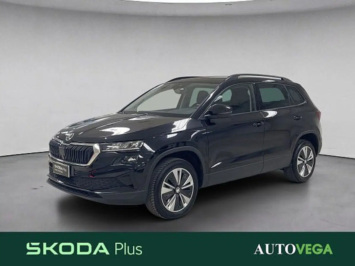 Skoda Karoq usata a Vicenza