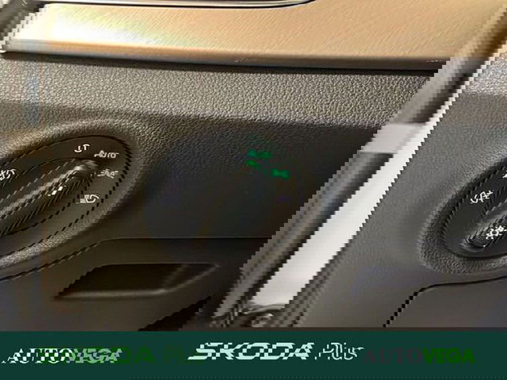 Skoda Kamiq usata a Vicenza (14)