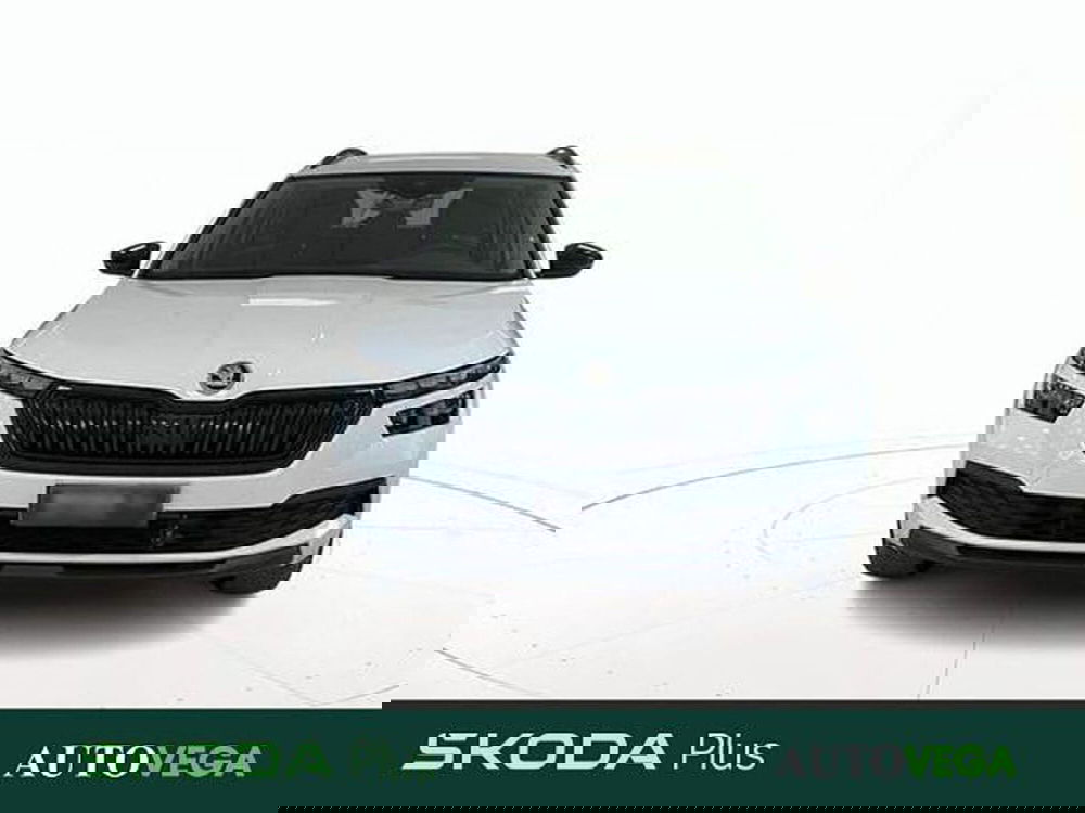 Skoda Kamiq usata a Vicenza (2)