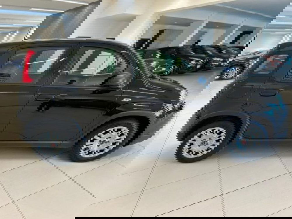 Fiat Panda usata a Modena (9)