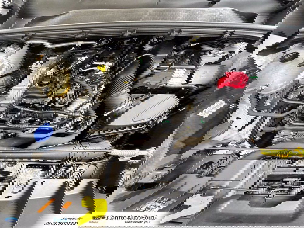 Ford Puma usata a Roma (12)