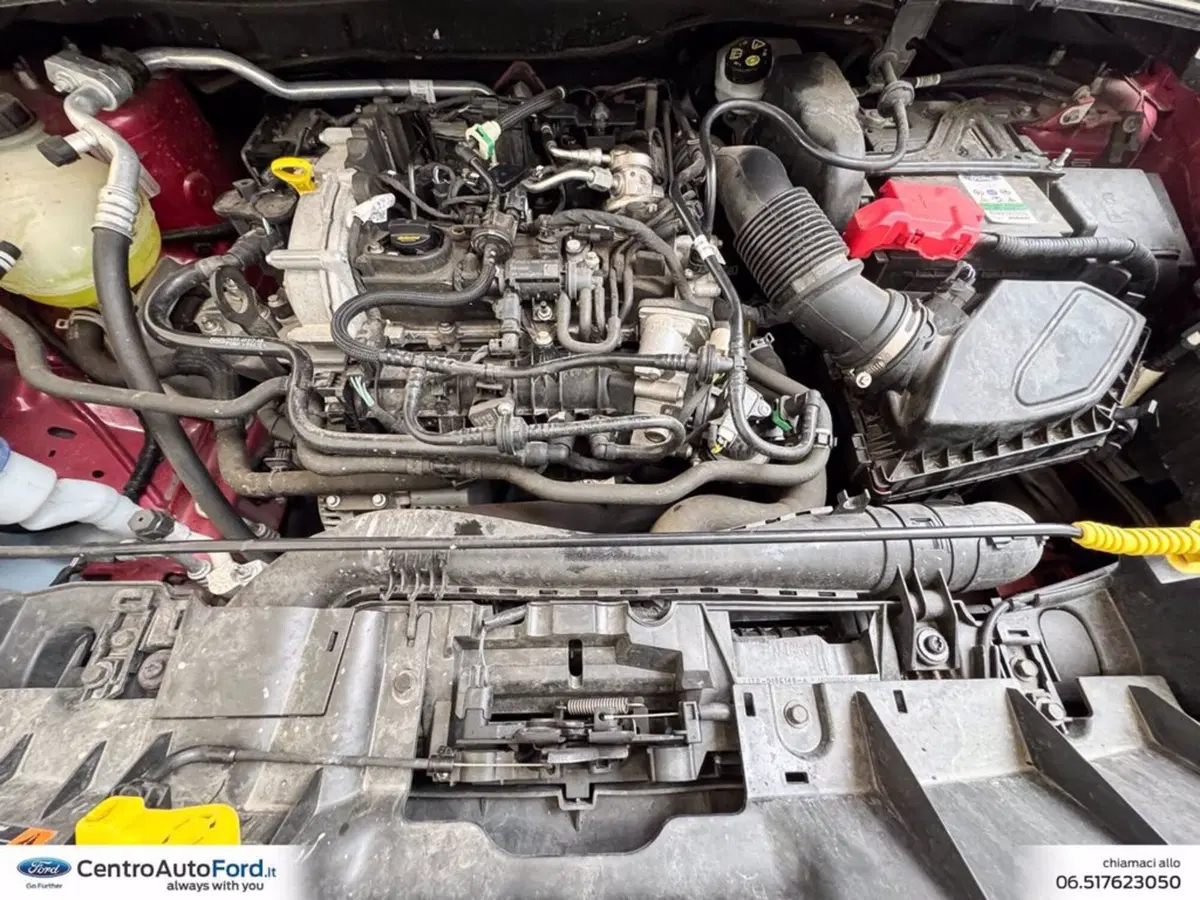 Ford Puma usata a Roma (12)