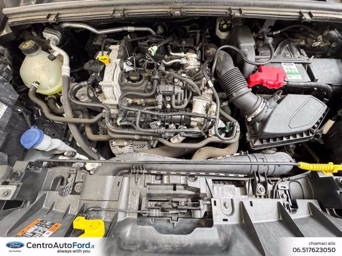 Ford Puma usata a Roma (12)