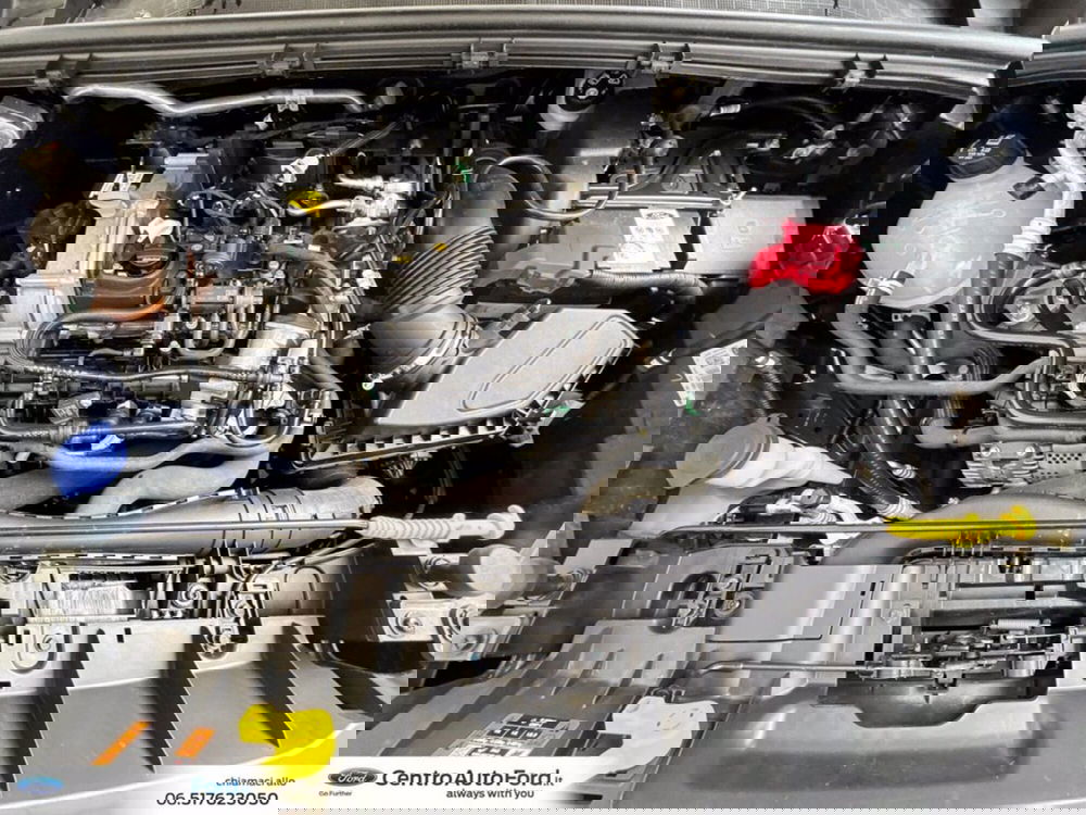 Ford Puma usata a Roma (12)