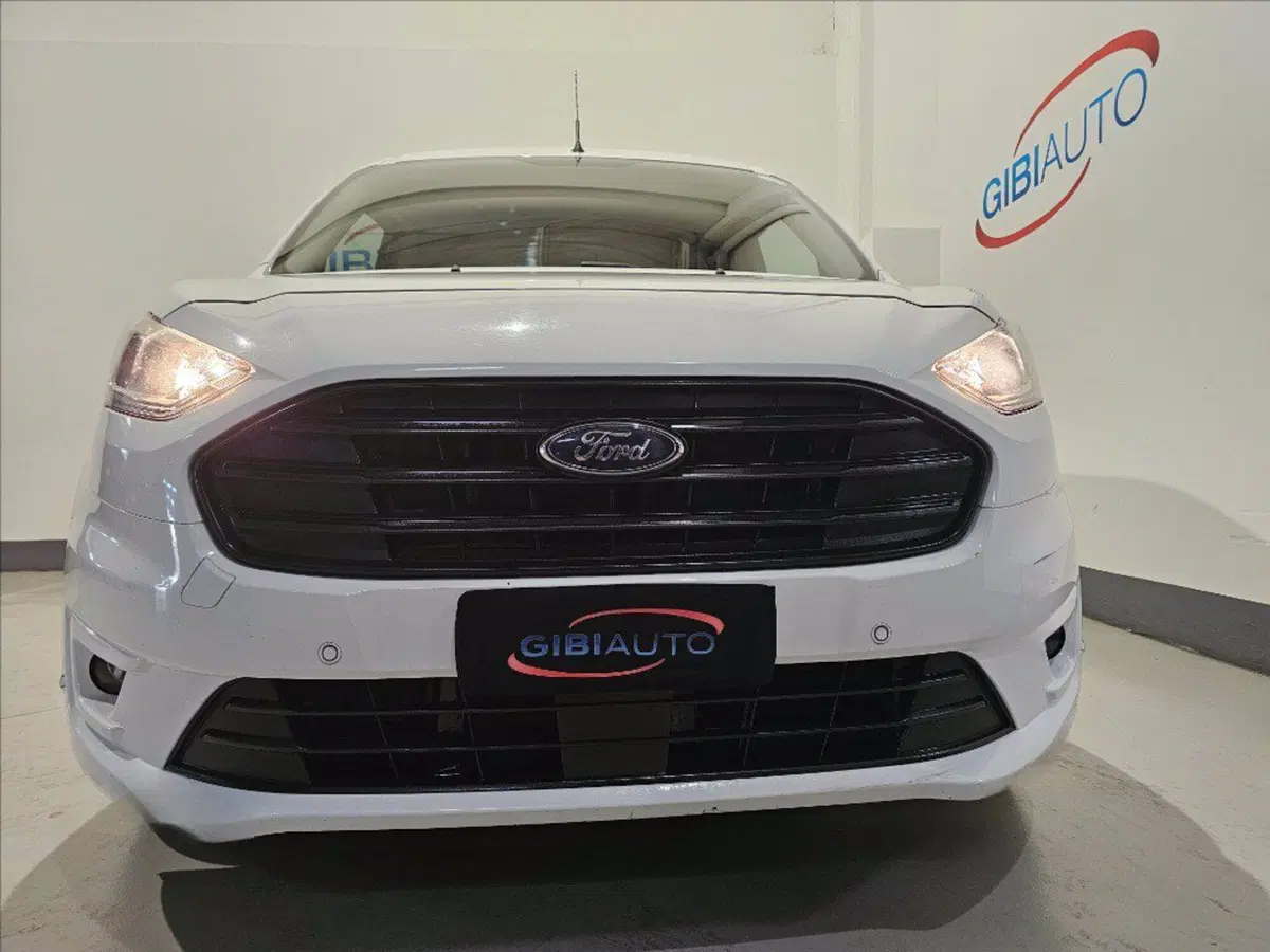 Ford Transit Connect Furgone usata a Palermo (3)