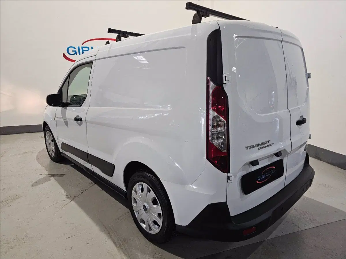 Ford Transit Connect Furgone usata a Palermo (7)