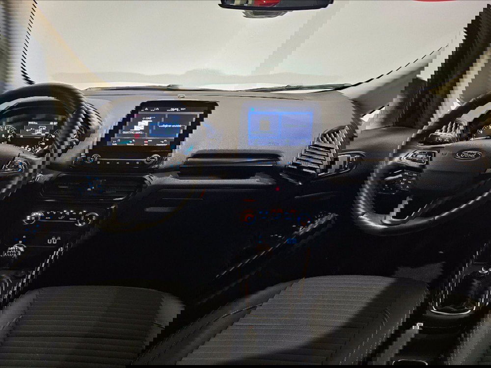 Ford EcoSport usata a Palermo (9)