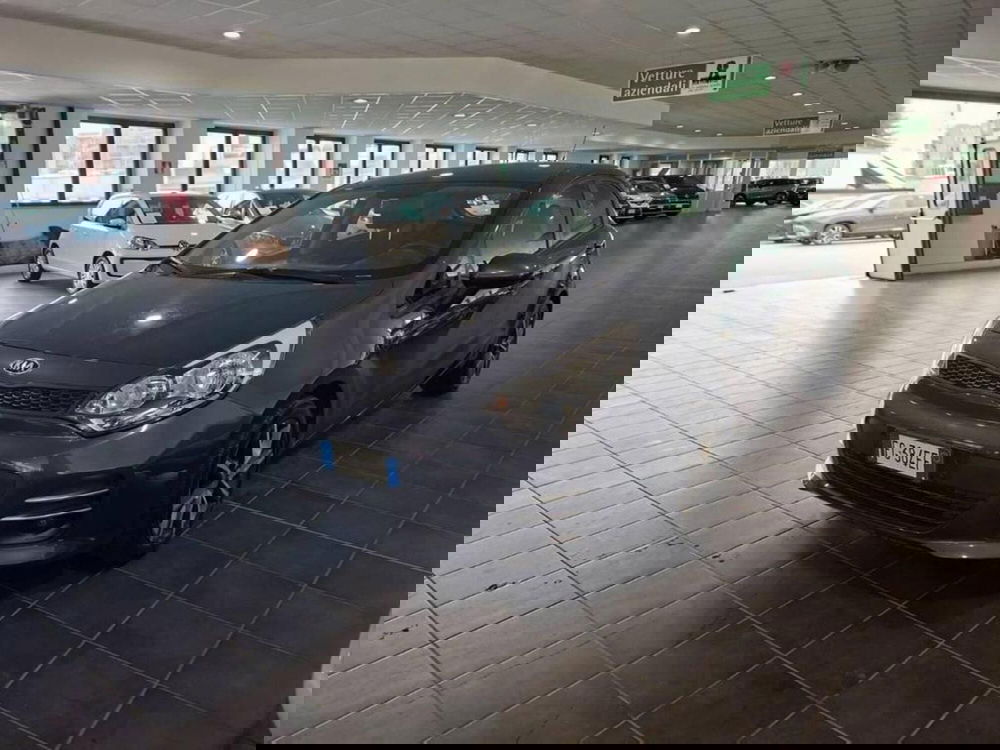 Kia Rio usata a Torino