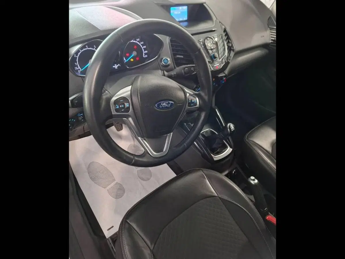 Ford EcoSport usata a Torino (10)