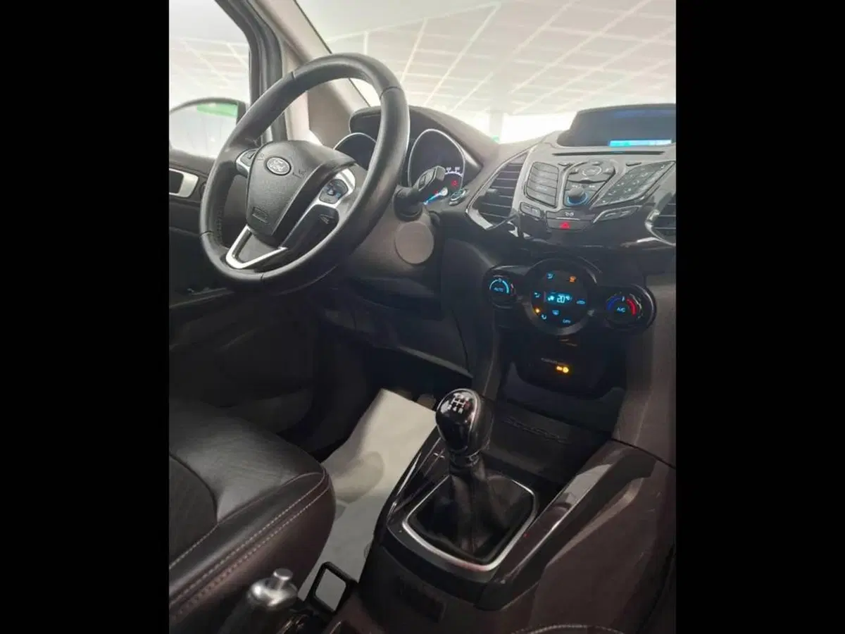 Ford EcoSport usata a Torino (12)