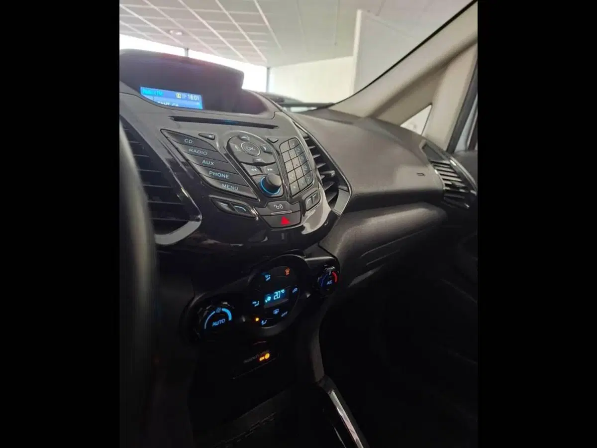 Ford EcoSport usata a Torino (8)