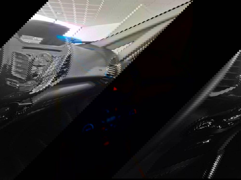 Ford EcoSport usata a Torino (8)