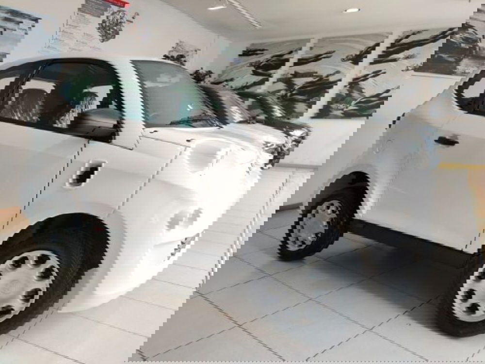 Minauto Minauto nuova a Firenze (6)