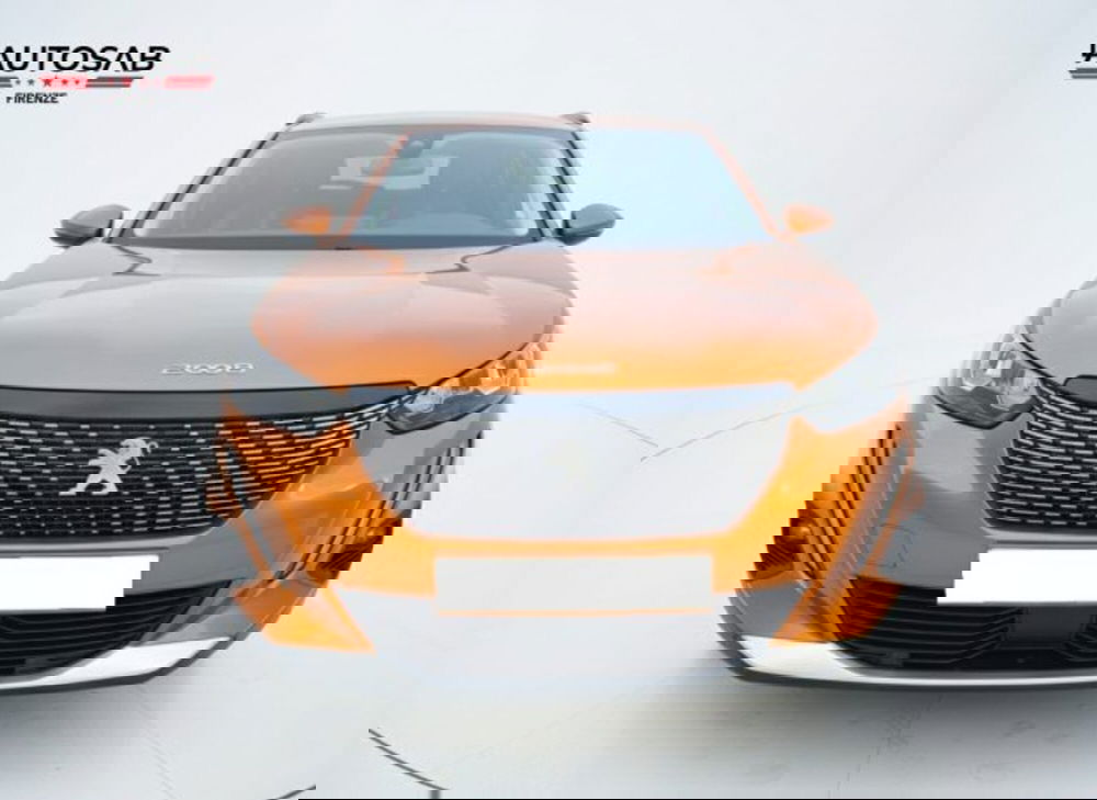 Peugeot 2008 usata a Firenze (2)