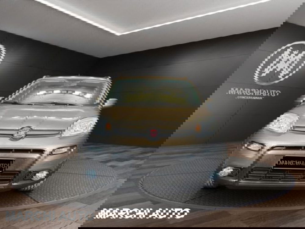 Fiat Panda usata a Perugia (2)