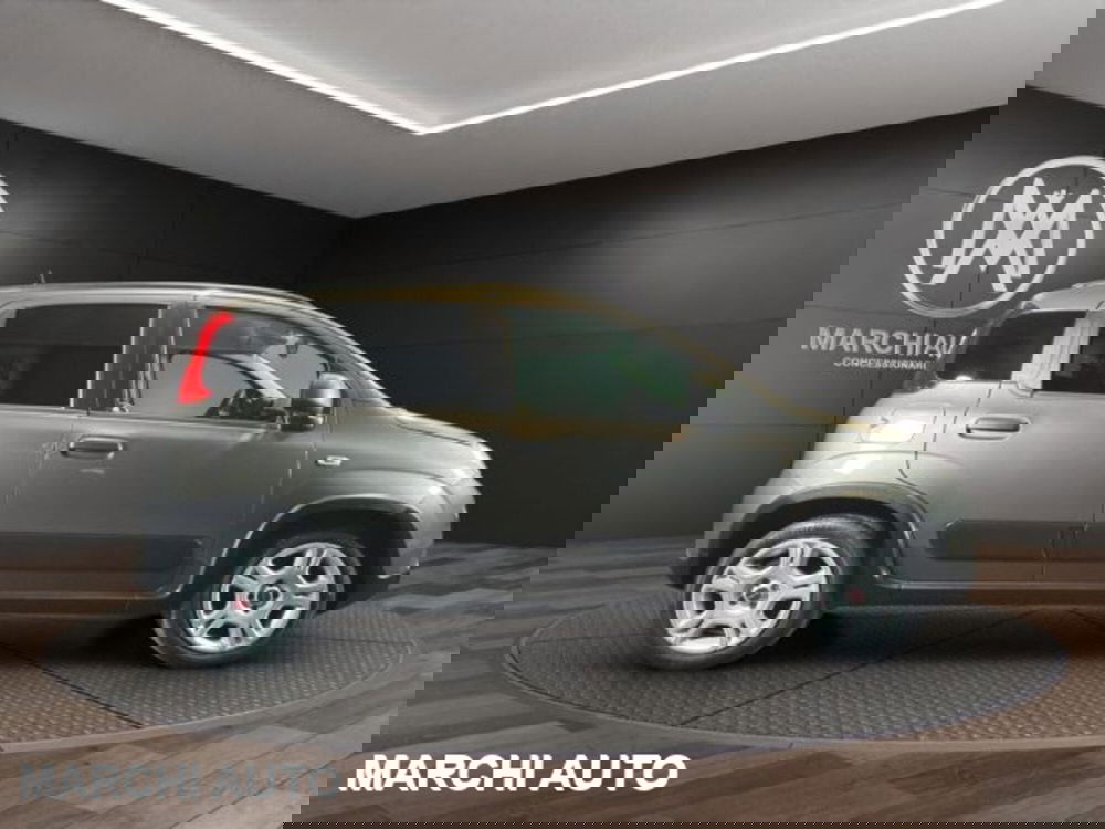 Fiat Panda usata a Perugia (4)