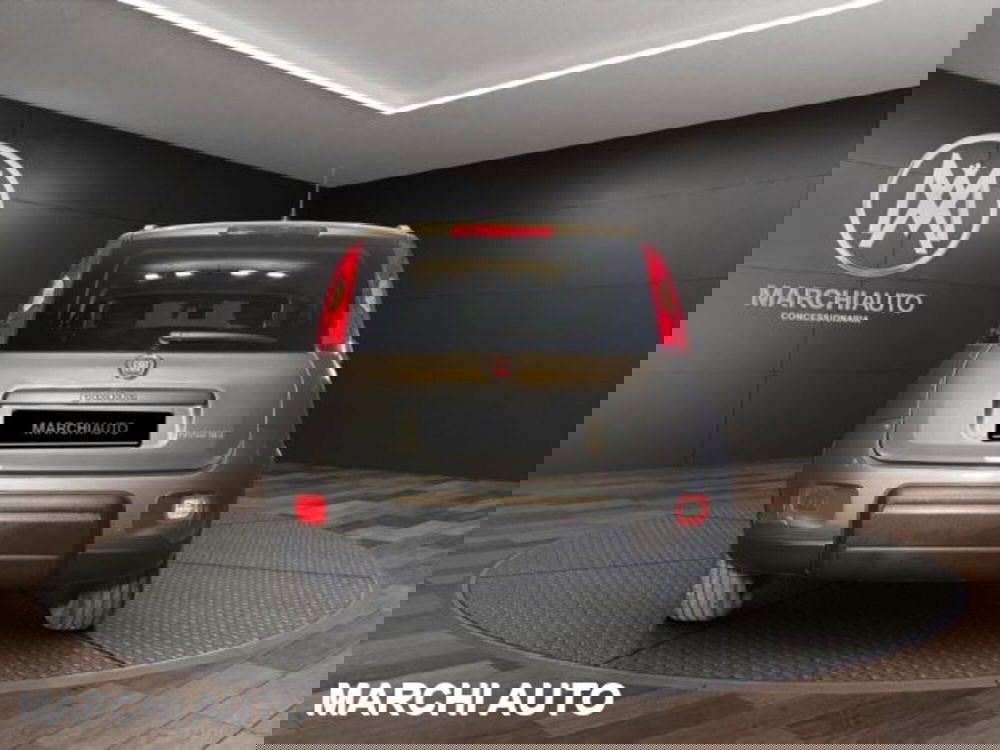 Fiat Panda usata a Perugia (6)