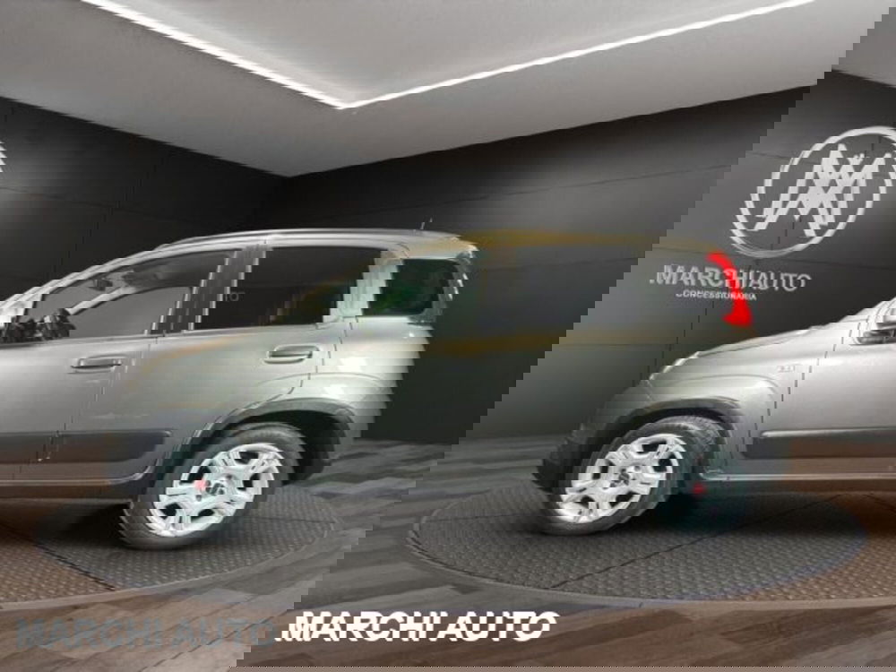 Fiat Panda usata a Perugia (8)