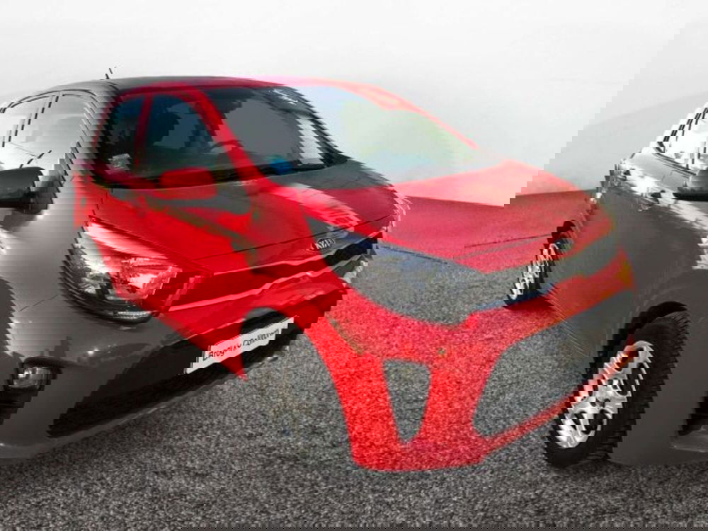 Kia Picanto usata a Firenze