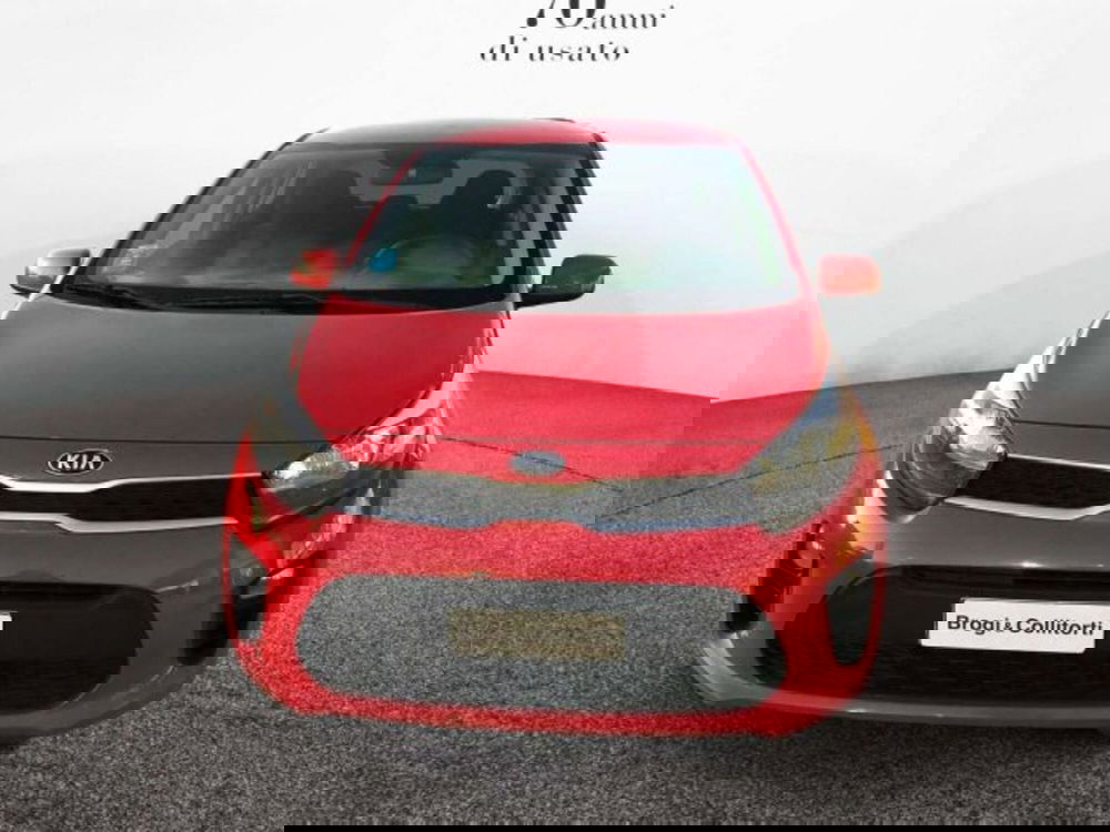Kia Picanto usata a Firenze (2)