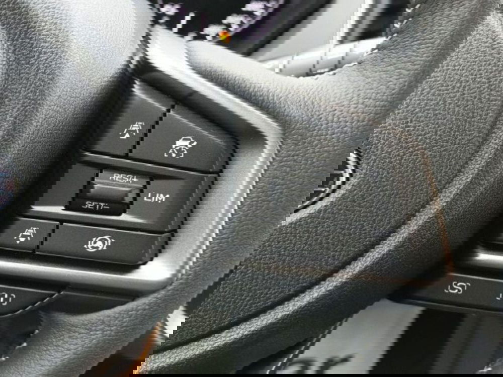 Subaru Crosstrek nuova a Novara (14)