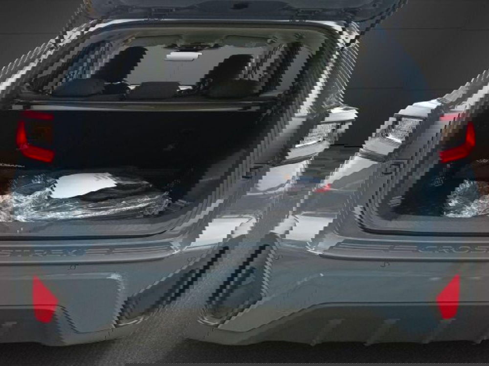 Subaru Crosstrek nuova a Novara (15)