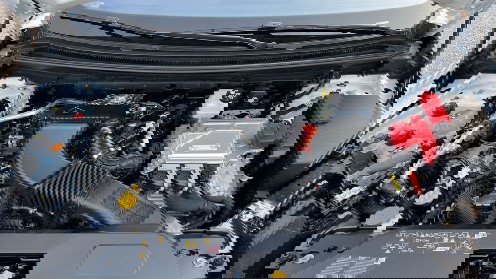 Renault Rafale nuova a Treviso (15)