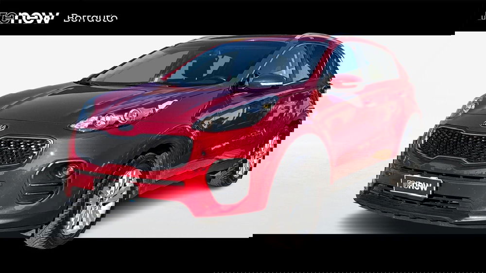 Kia Sportage usata a Treviso
