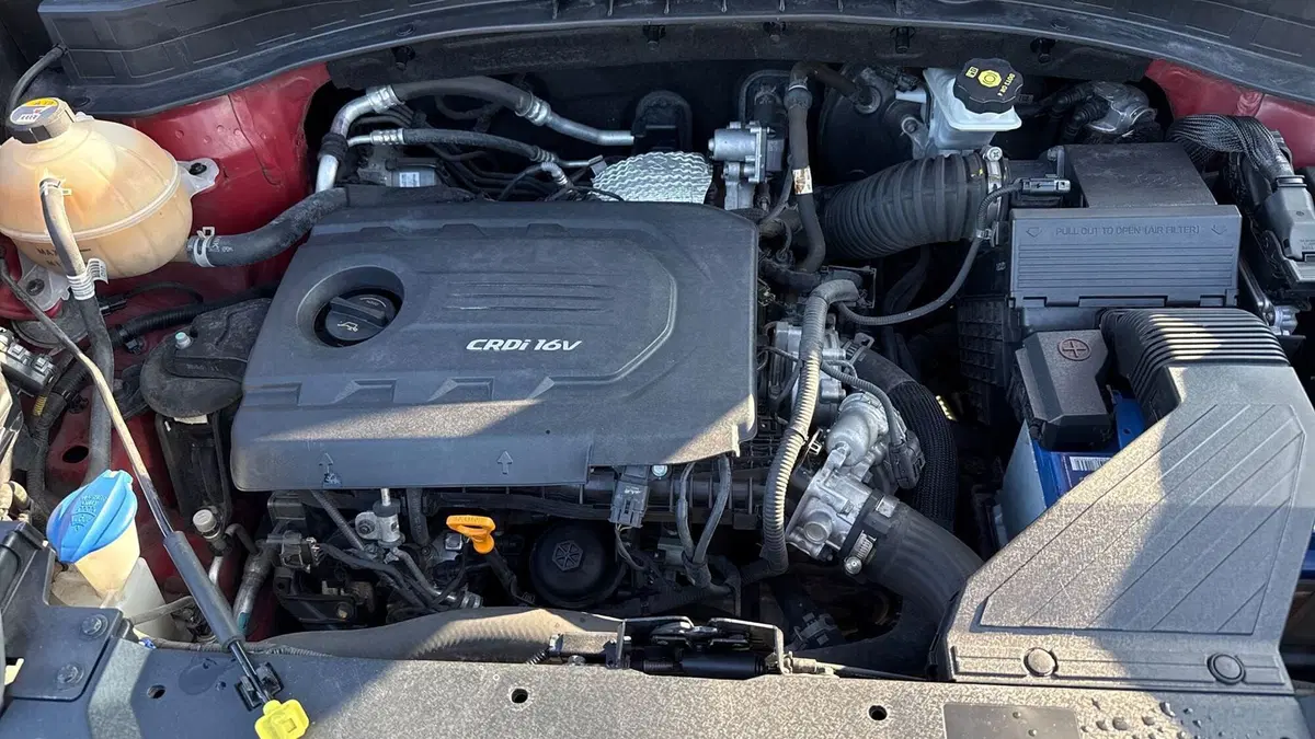 Kia Sportage usata a Treviso (15)