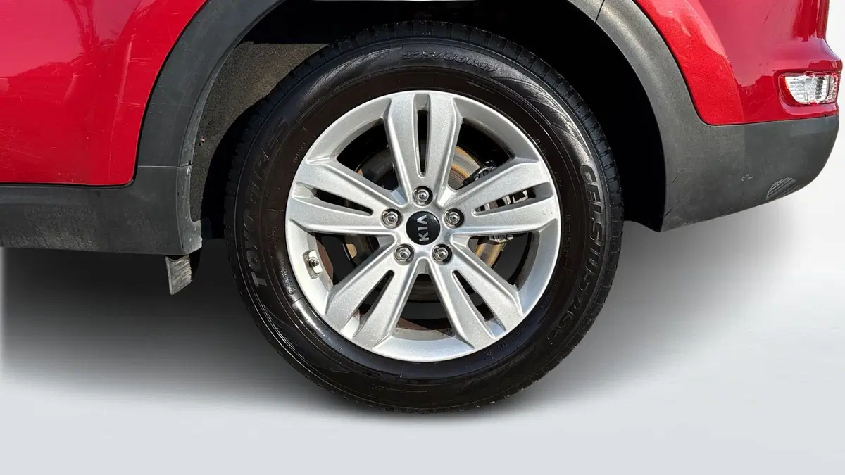 Kia Sportage usata a Treviso (5)