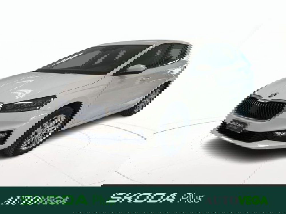 Skoda Fabia usata a Vicenza