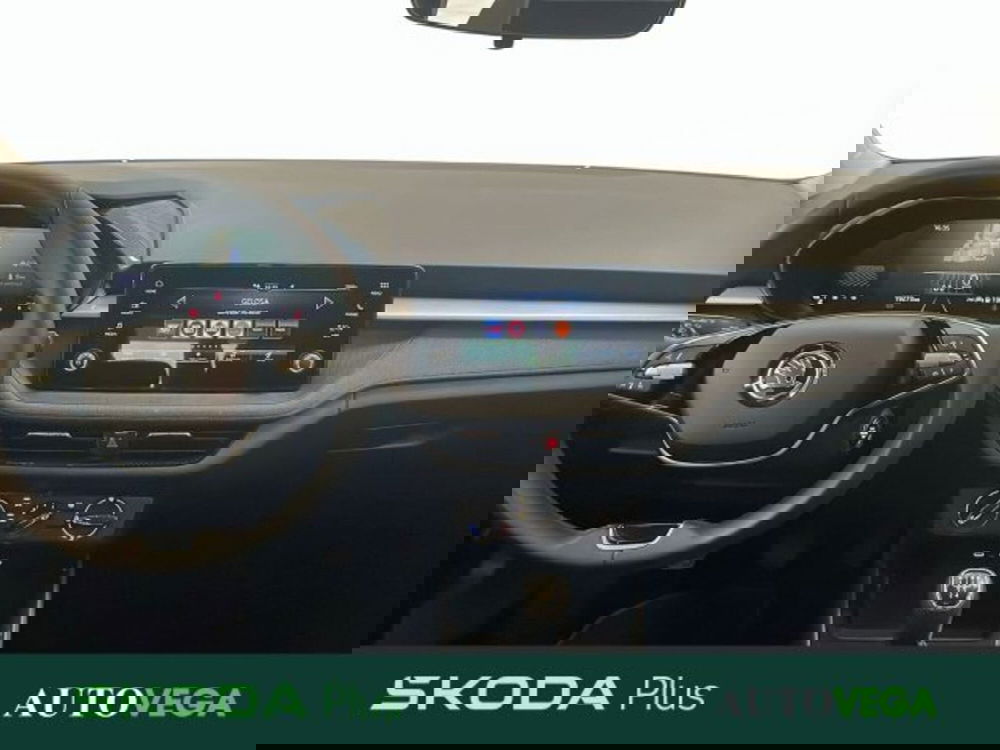 Skoda Fabia usata a Vicenza (8)