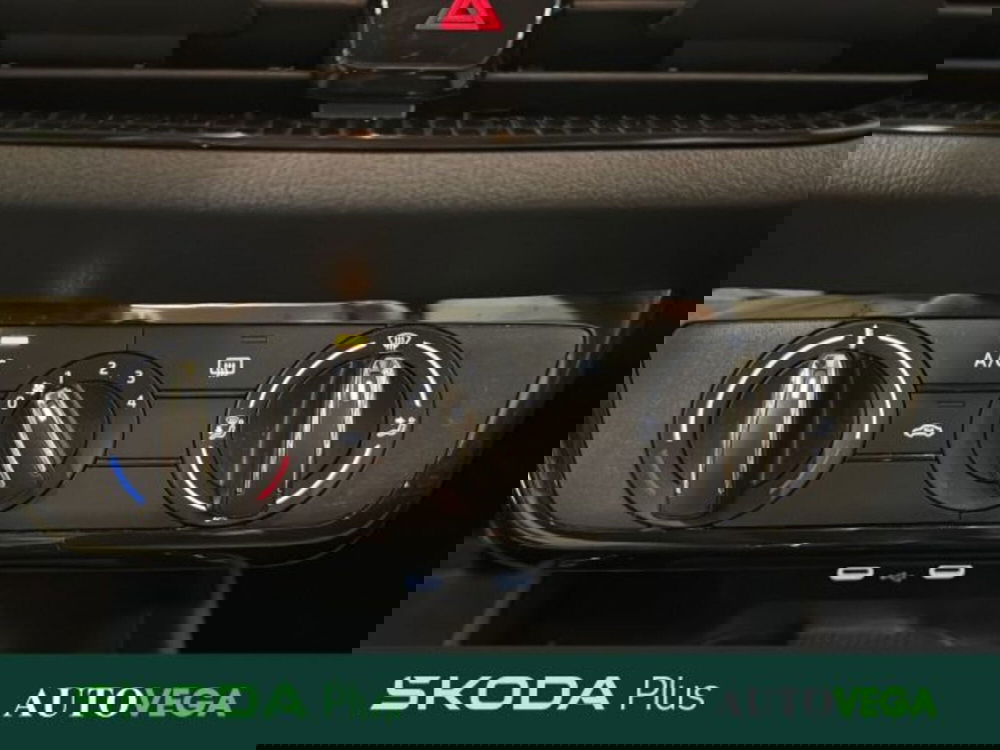 Skoda Fabia usata a Vicenza (14)