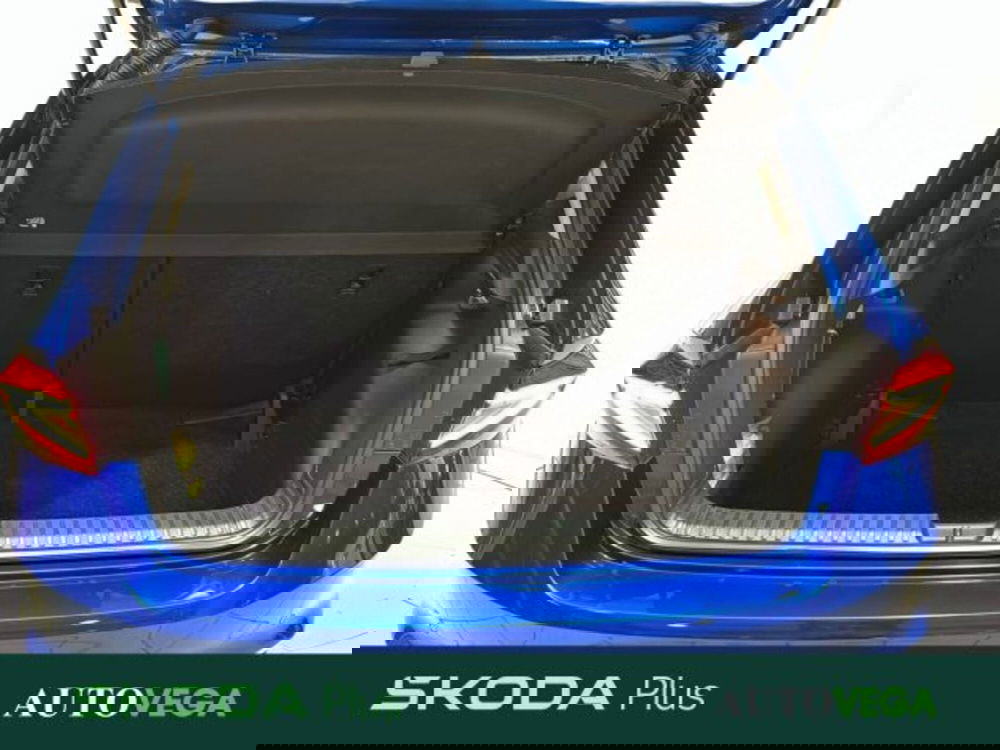 Skoda Fabia usata a Vicenza (18)