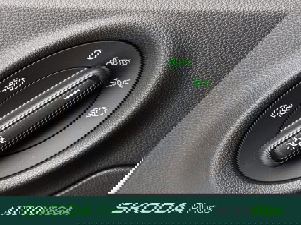 Skoda Kamiq usata a Vicenza (11)