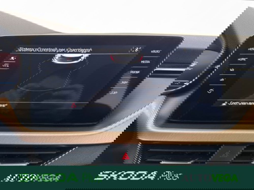 Skoda Kamiq usata a Vicenza (14)