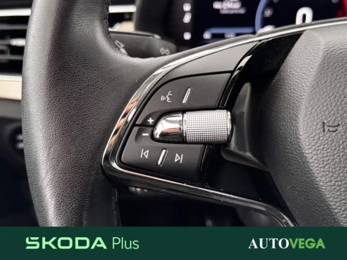 Skoda Kamiq usata a Vicenza (16)