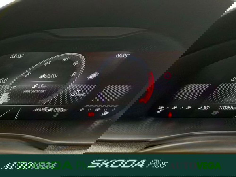 Skoda Kamiq usata a Vicenza (14)