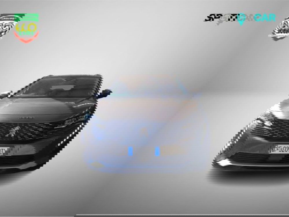 Peugeot 3008 usata a Frosinone (2)