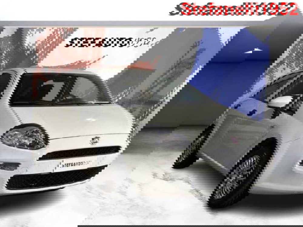 Fiat Punto usata a Bologna