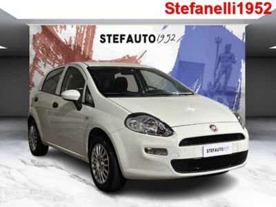Fiat Punto 1.2 8V 3 porte Lounge del 2018 usata a Bologna