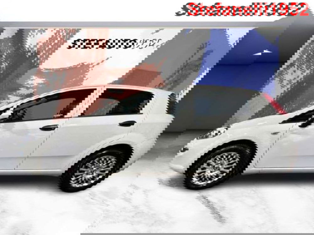 Fiat Punto usata a Bologna (4)