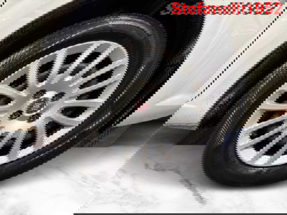 Fiat Punto usata a Bologna (8)