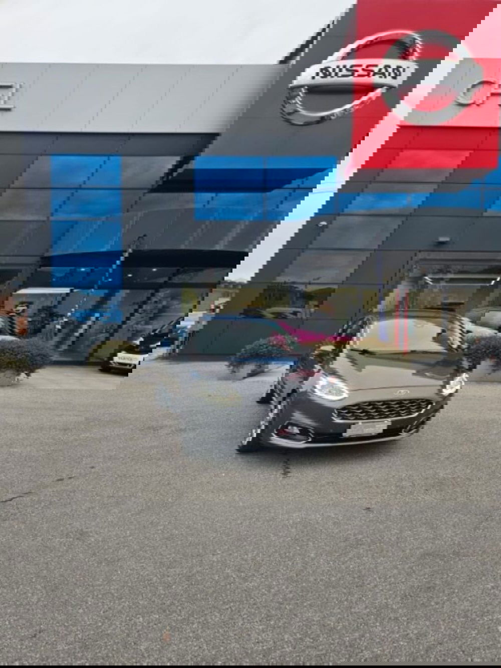 Ford Fiesta usata a Lucca