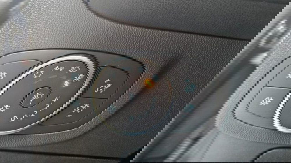 Ford Fiesta usata a Lucca (16)